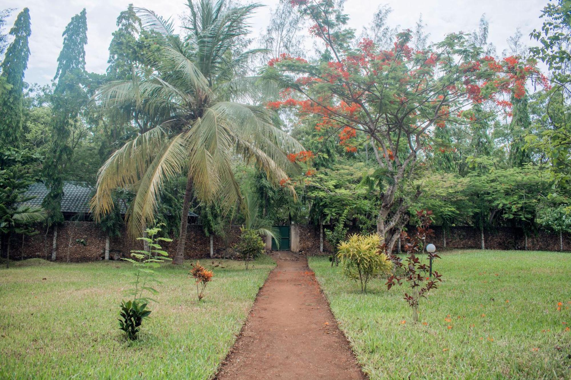 Kijani Cottages In Diani Diani Beach Buitenkant foto